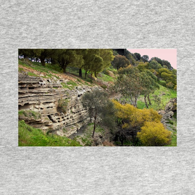 Volcanic Strata, Tower Hill by rozmcq